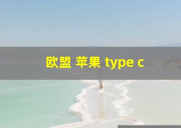 欧盟 苹果 type c